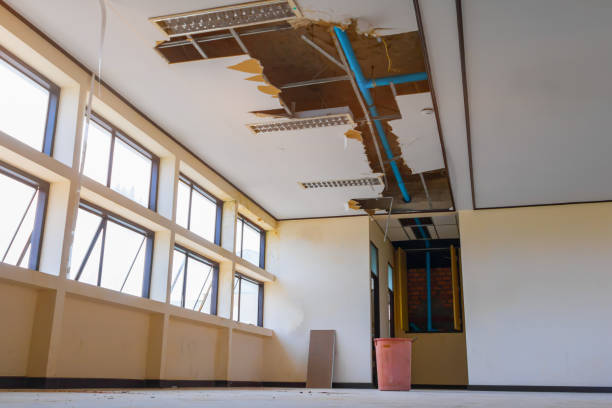  South Fulton, GA Water damage restoration Pros