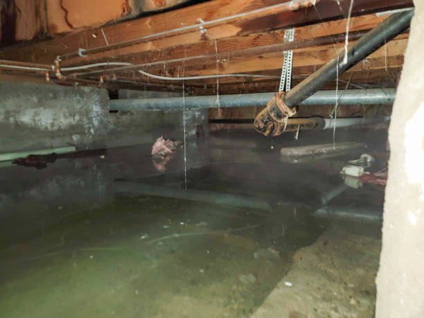 Best Flood damage cleanup  in South Fulton, GA