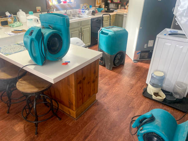 Best Flooded house restoration  in South Fulton, GA