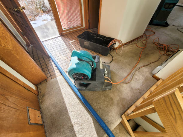 Best 24-hour water damage restoration  in South Fulton, GA