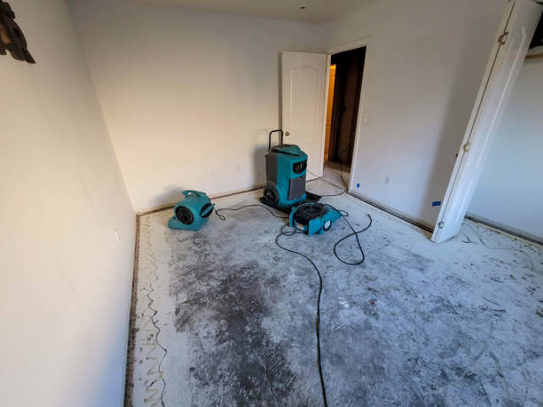 Best Local water damage restoration  in South Fulton, GA