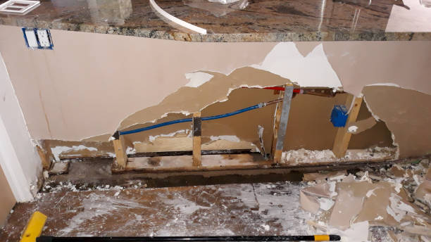 Best Carpet water damage restoration  in South Fulton, GA