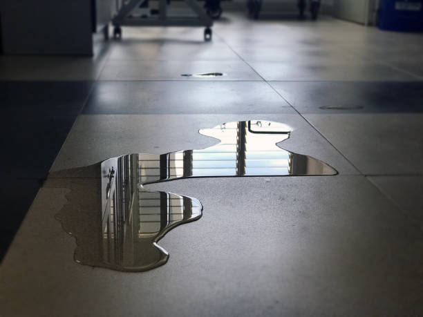 Best Emergency water damage restoration  in South Fulton, GA