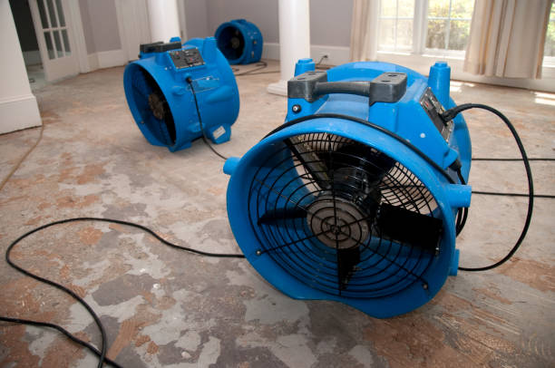 Best Water damage restoration company  in South Fulton, GA