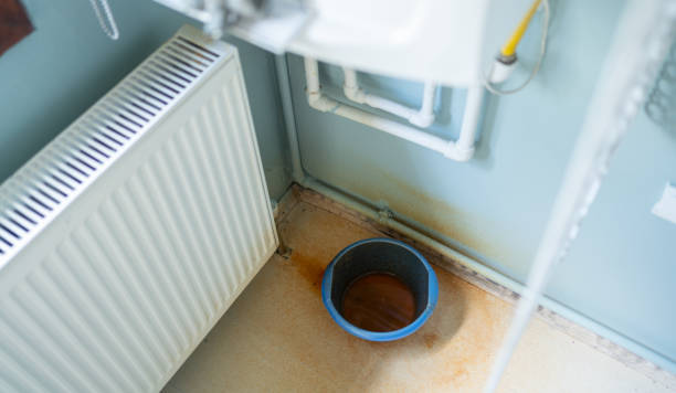 Best Flood restoration services  in South Fulton, GA