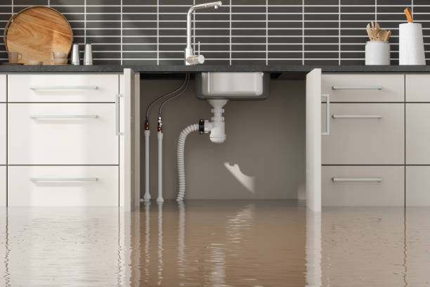 Best Ceiling water damage repair  in South Fulton, GA