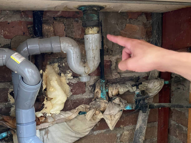 Best Water damage restoration near me  in South Fulton, GA